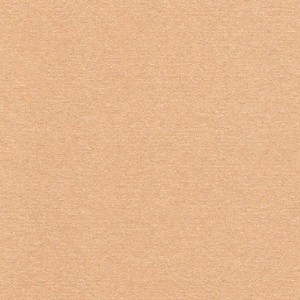 Tropical Coral FDA Luster Dust 3 1/2 GR