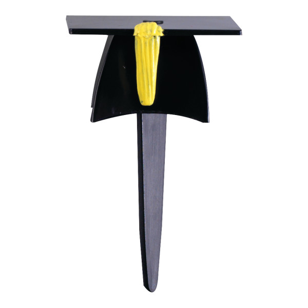 Grad 3-D Hat Pick 2 1/4" 144 CT