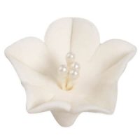 Agapanthus Small White 1" 40 CT