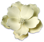 Magnolia White GP 4 1/2"x 4 1/2" 9 CT