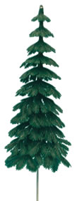 Evergreen Tree 5 1/2" 48 CT