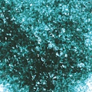 Emerald Green Edible Glitter 4 OZ