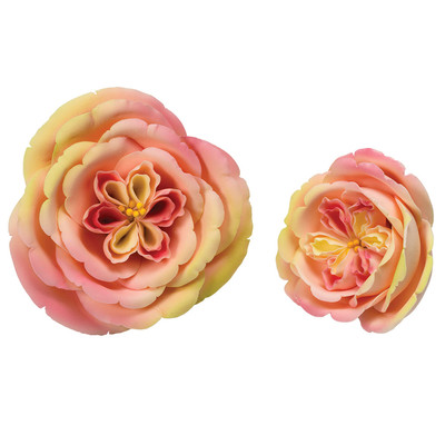 Apricot Nectar Rose Assorted 4 1/2" & 5" 10 CT