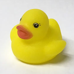 Duck 3-D (Yellow) 2" 24 CT