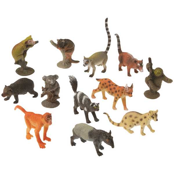 Rain Forest Animals 1 1/2" - 2 1/4" 12 CT