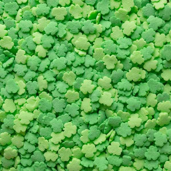 Clover (Shamrock) Quins 5 LB