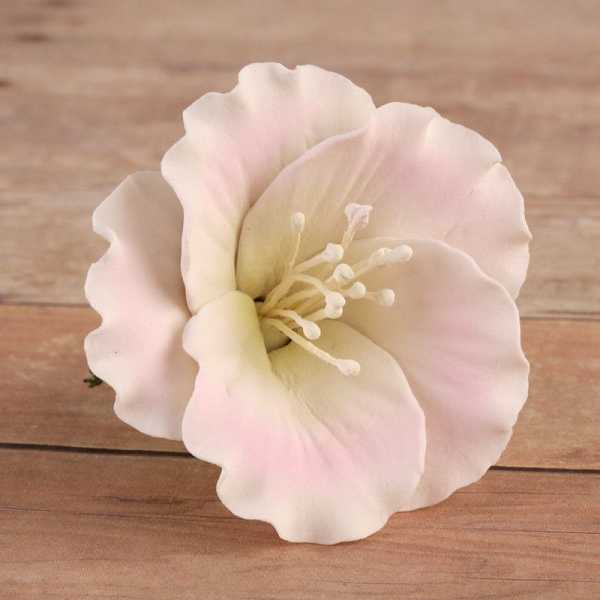 Azaleas Pink 1.75" 24 CT