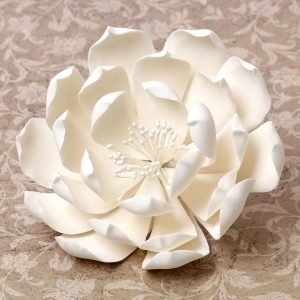 Queen of the Night Dahlias White 5.75″ 3 CT