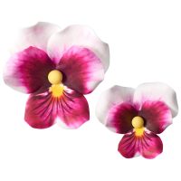 Pink Pansies Assortment GP 1.5" to 2.5" 24 CT