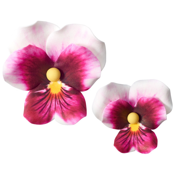 Pink Pansies Assortment GP 1.5" to 2.5" 24 CT
