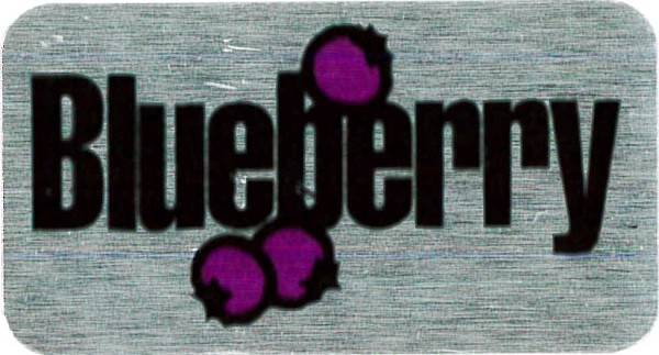 Blueberry Labels 500 CT