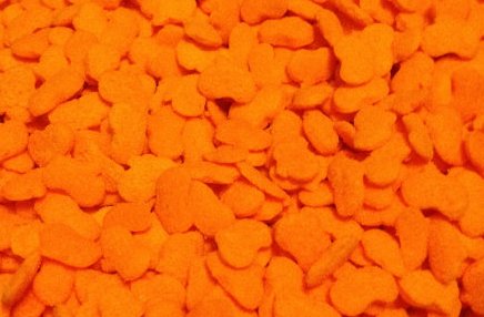 Mini Pumpkin Orange Quins 4 OZ