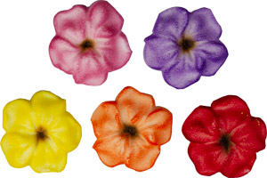Autumn Blossoms Pressed Sugar Decorations 160 CT
