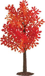 Changing Leaves Tree 4" 48 CT