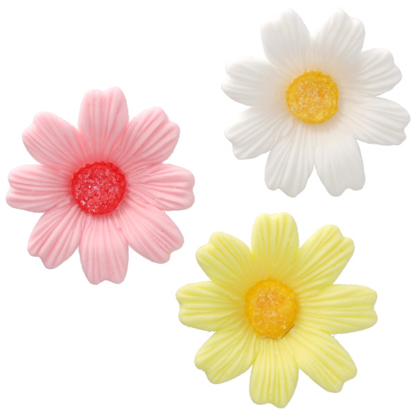 Daisies Assortment - Red 3 Free 64 CT
