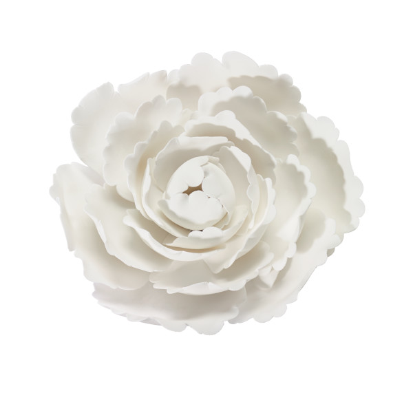 Peony Large GP 8 CT