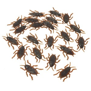 Cockroach Realistic 2″ 72 CT