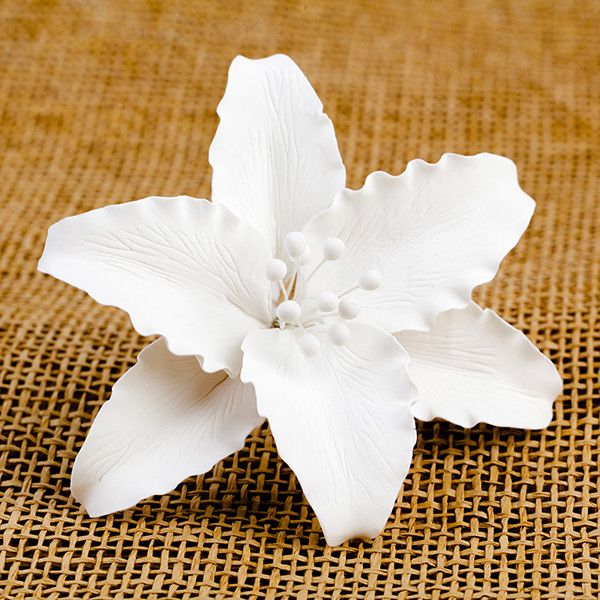Casablanca Lilies White 5" 6 CT