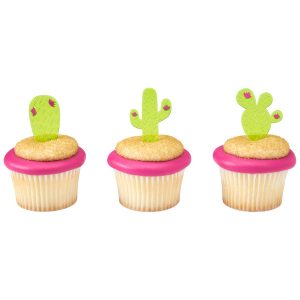 Cactus Assortment DecoPics 144 CT