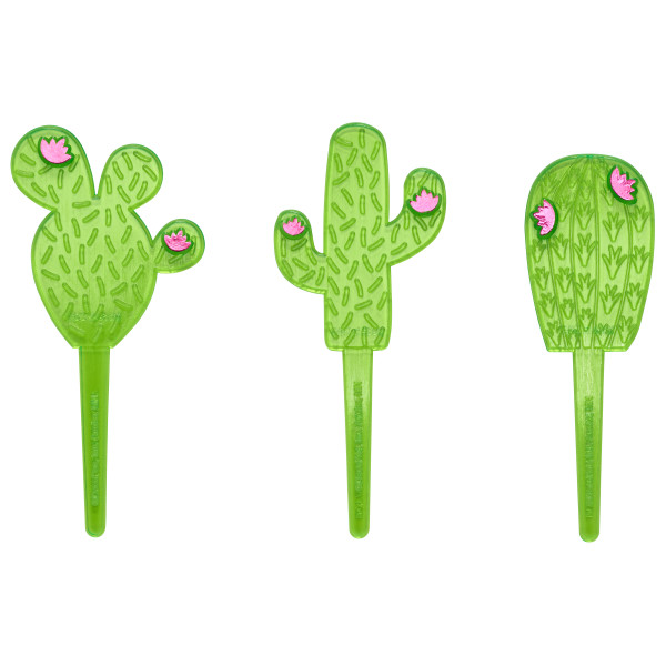 Cactus Assortment DecoPics 144 CT - Image 2