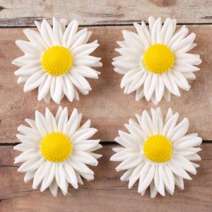 Petite Daisies White 1″ 36 CT