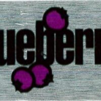 Blueberry Labels 500 CT